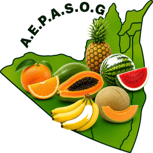 AEPASOG logo