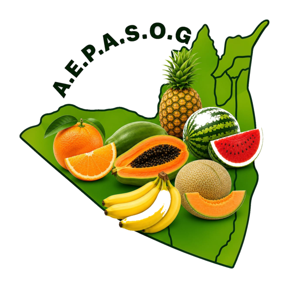 AEPASOG logo